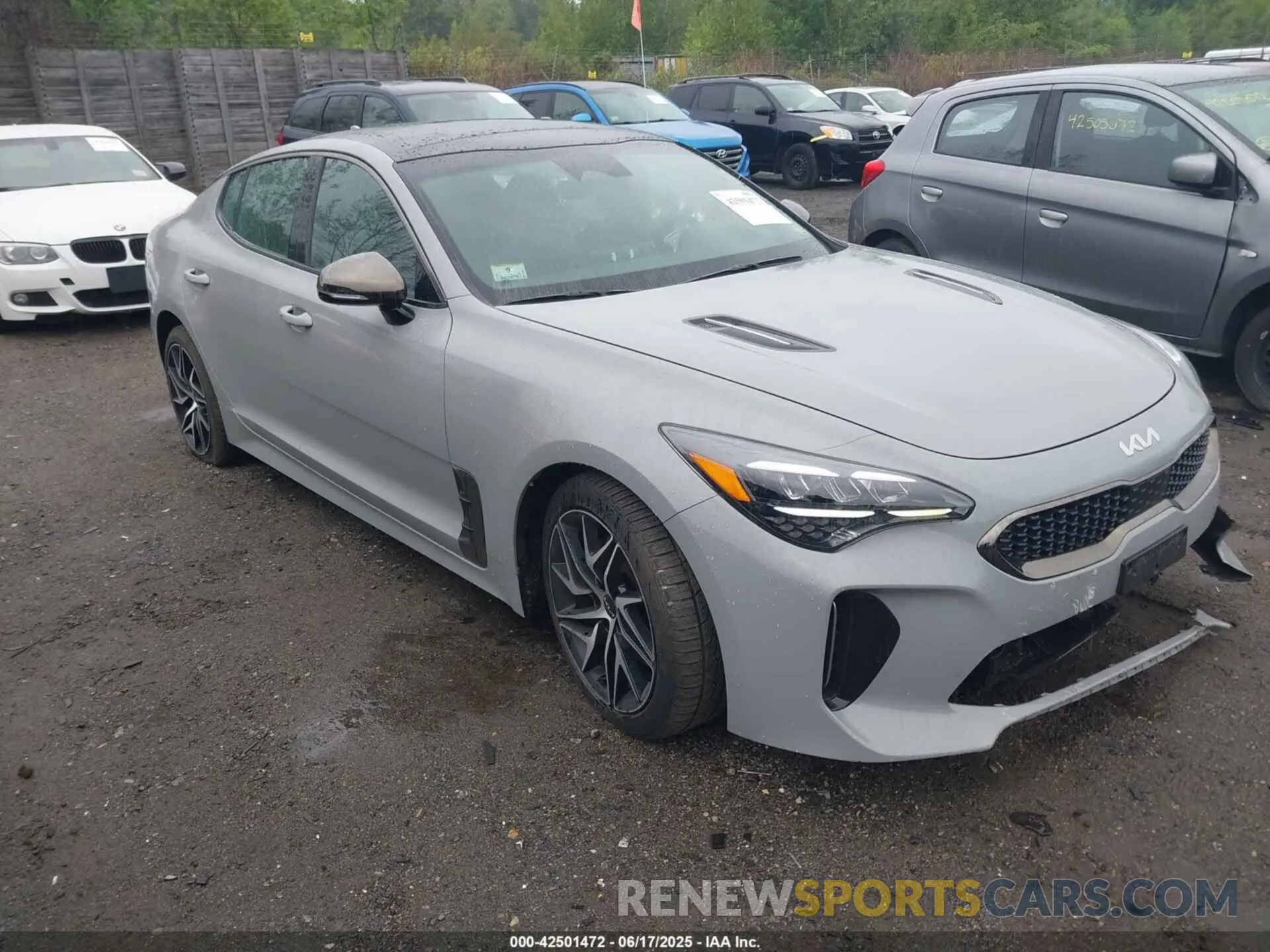 13 Photograph of a damaged car KNAE35LD7P6122920 KIA STINGER 2023