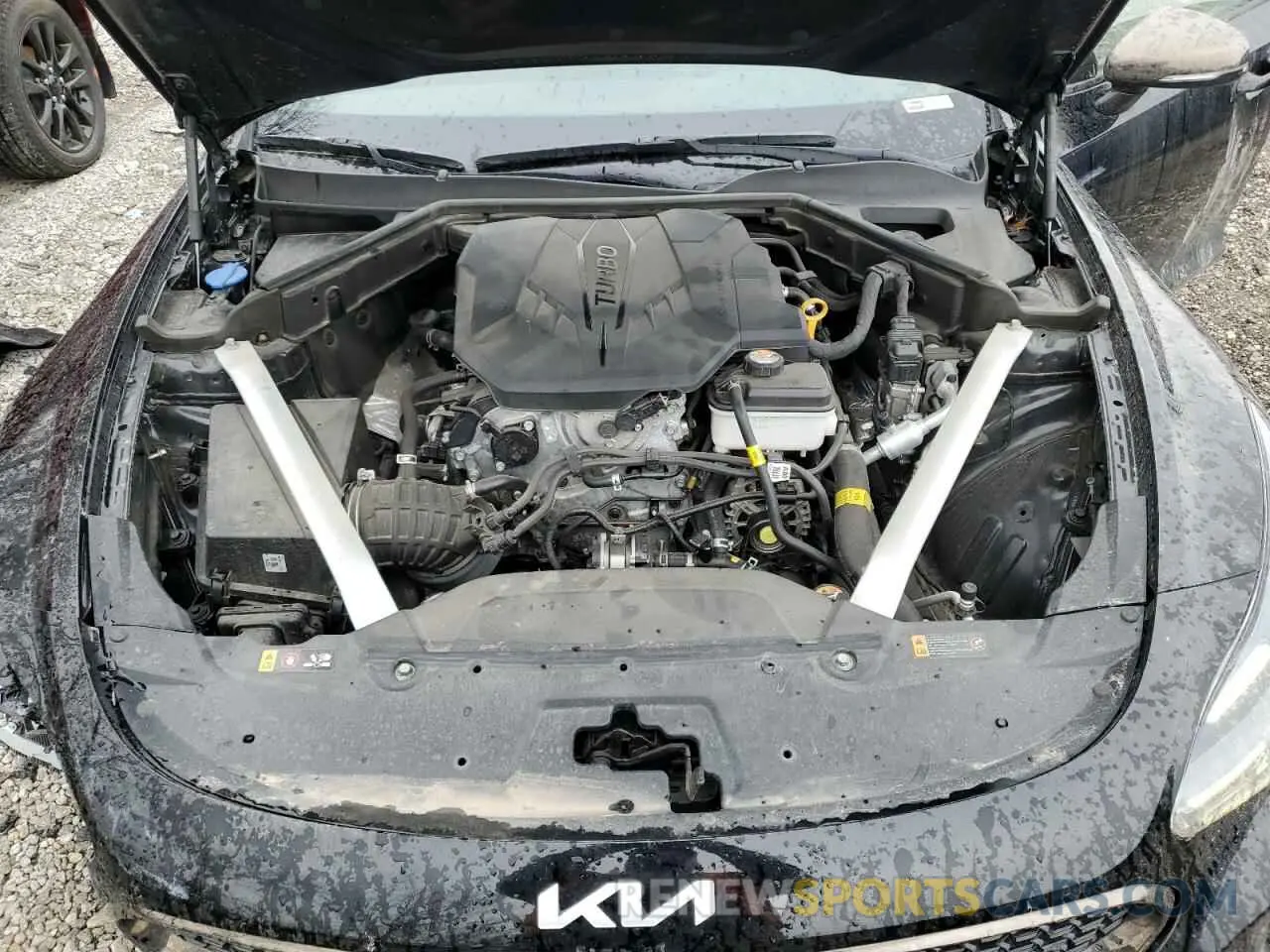 11 Photograph of a damaged car KNAE35LD9P6125169 KIA STINGER 2023