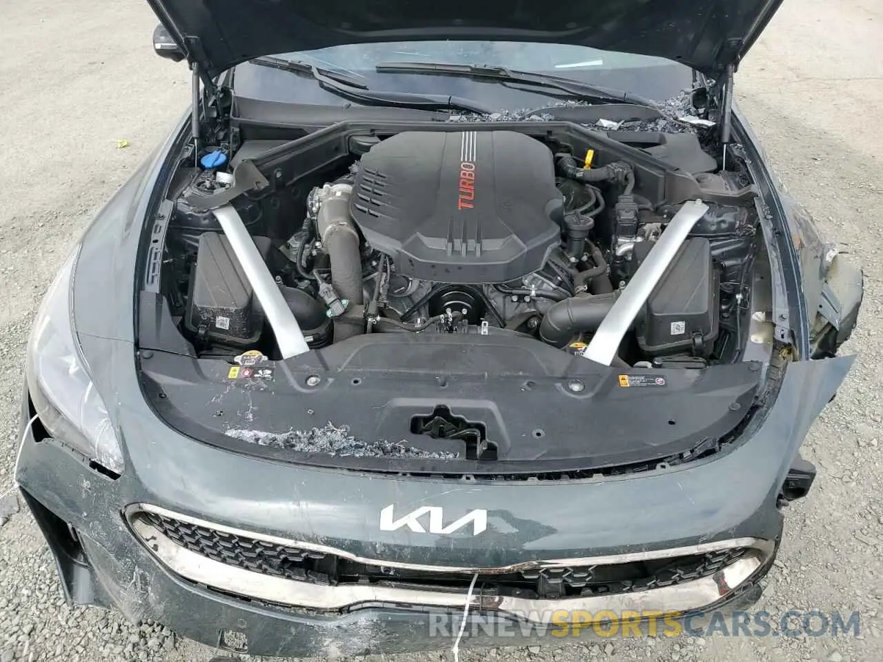 11 Photograph of a damaged car KNAE55LCXP6136344 KIA STINGER 2023
