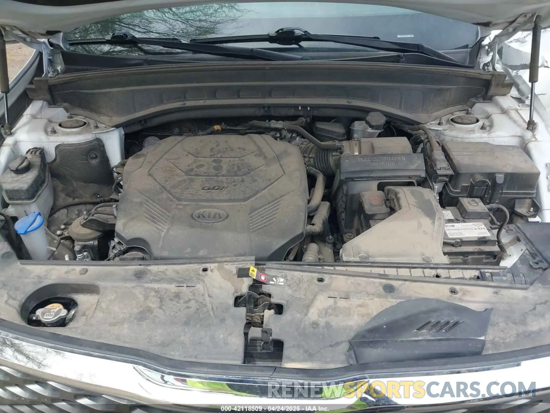 10 Photograph of a damaged car 5XYP24HC3LG087793 KIA TELLURIDE 2020