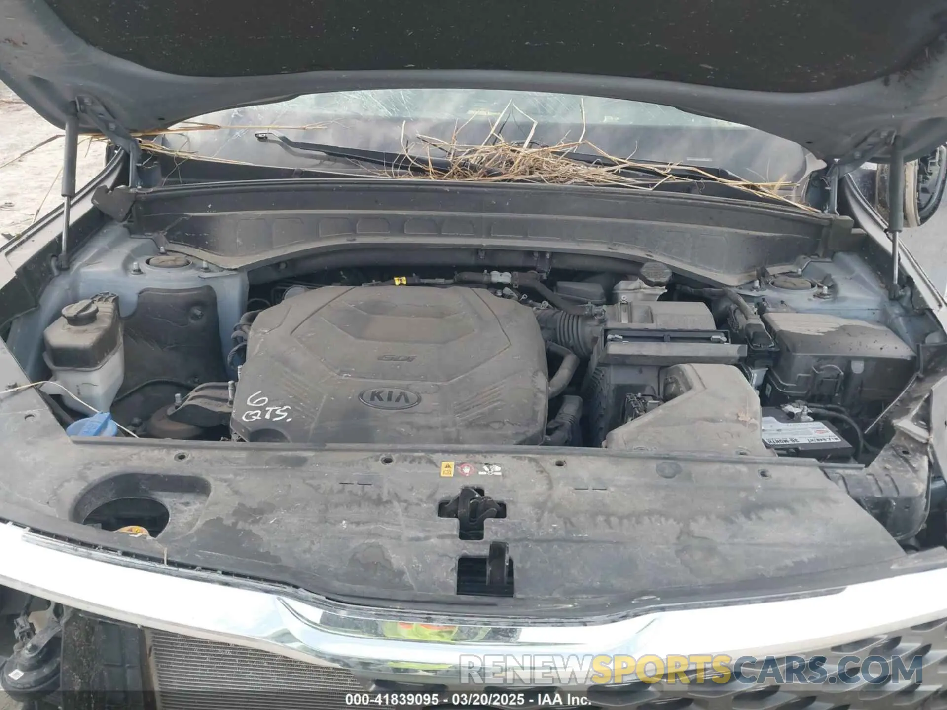 10 Photograph of a damaged car 5XYP2DHC6LG009458 KIA TELLURIDE 2020