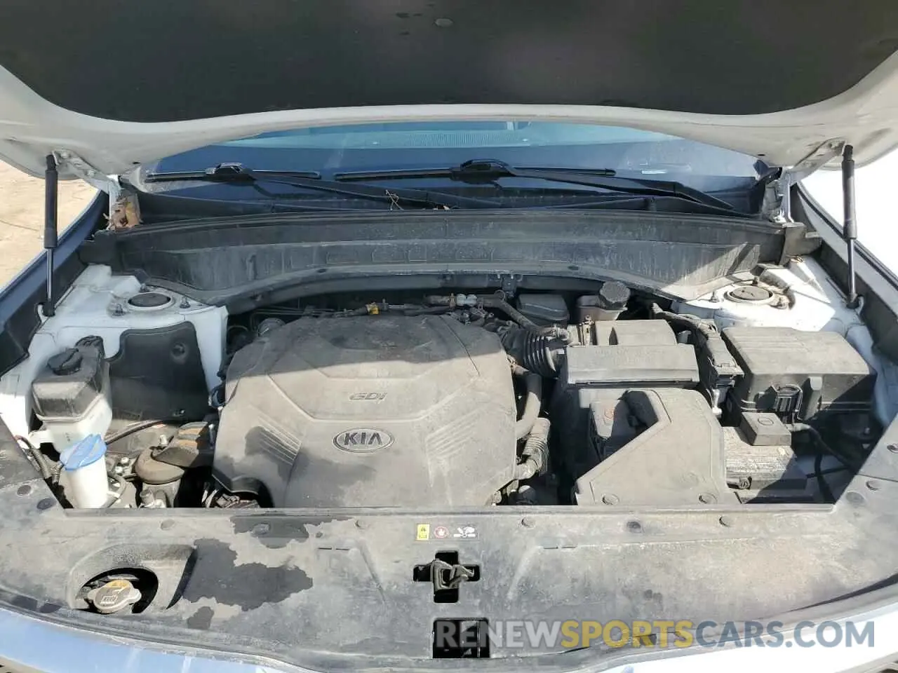 12 Photograph of a damaged car 5XYP3DHC1LG051467 KIA TELLURIDE 2020