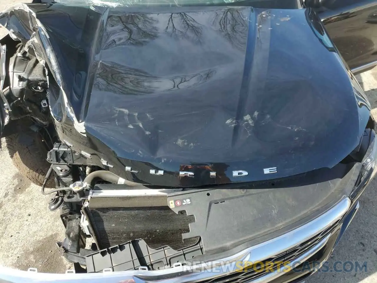 12 Photograph of a damaged car 5XYP3DHC6LG052405 KIA TELLURIDE 2020