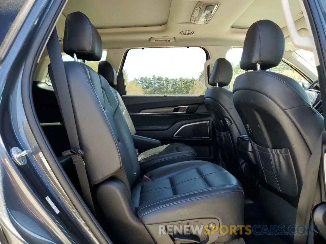 6 Photograph of a damaged car 5XYP5DHC2LG075139 KIA TELLURIDE 2020