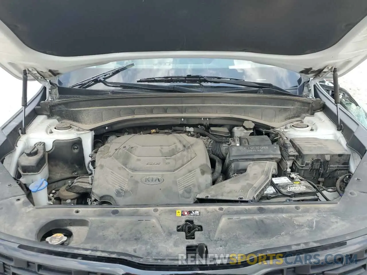 12 Photograph of a damaged car 5XYP5DHC5LG091531 KIA TELLURIDE 2020