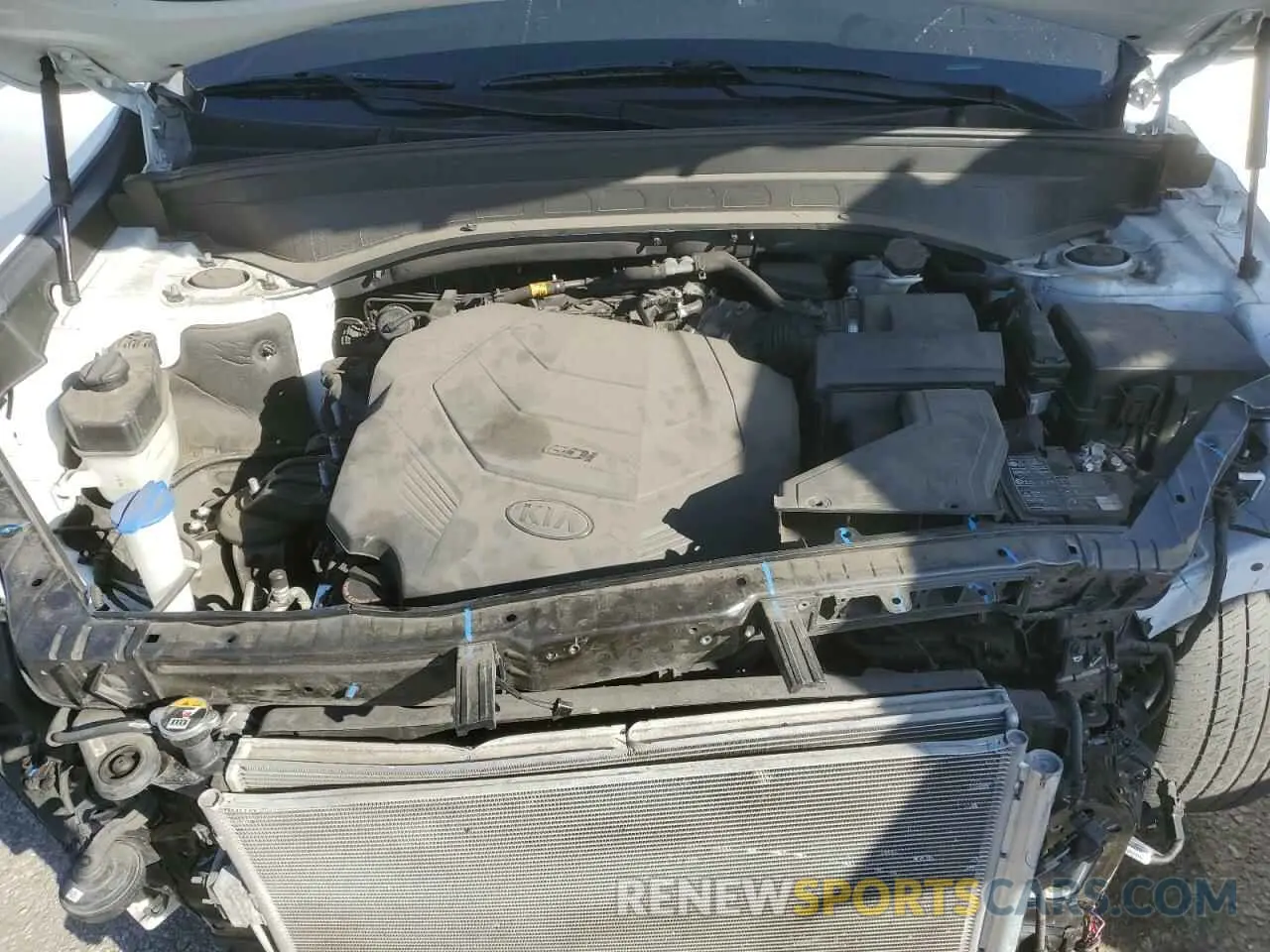 12 Photograph of a damaged car 5XYP6DHC2LG003788 KIA TELLURIDE 2020