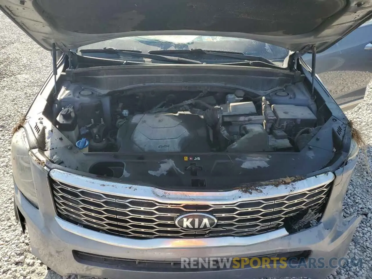 12 Photograph of a damaged car 5XYP6DHC5LG067095 KIA TELLURIDE 2020