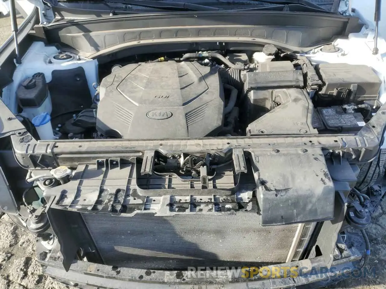 12 Photograph of a damaged car 5XYP6DHC5LG069669 KIA TELLURIDE 2020