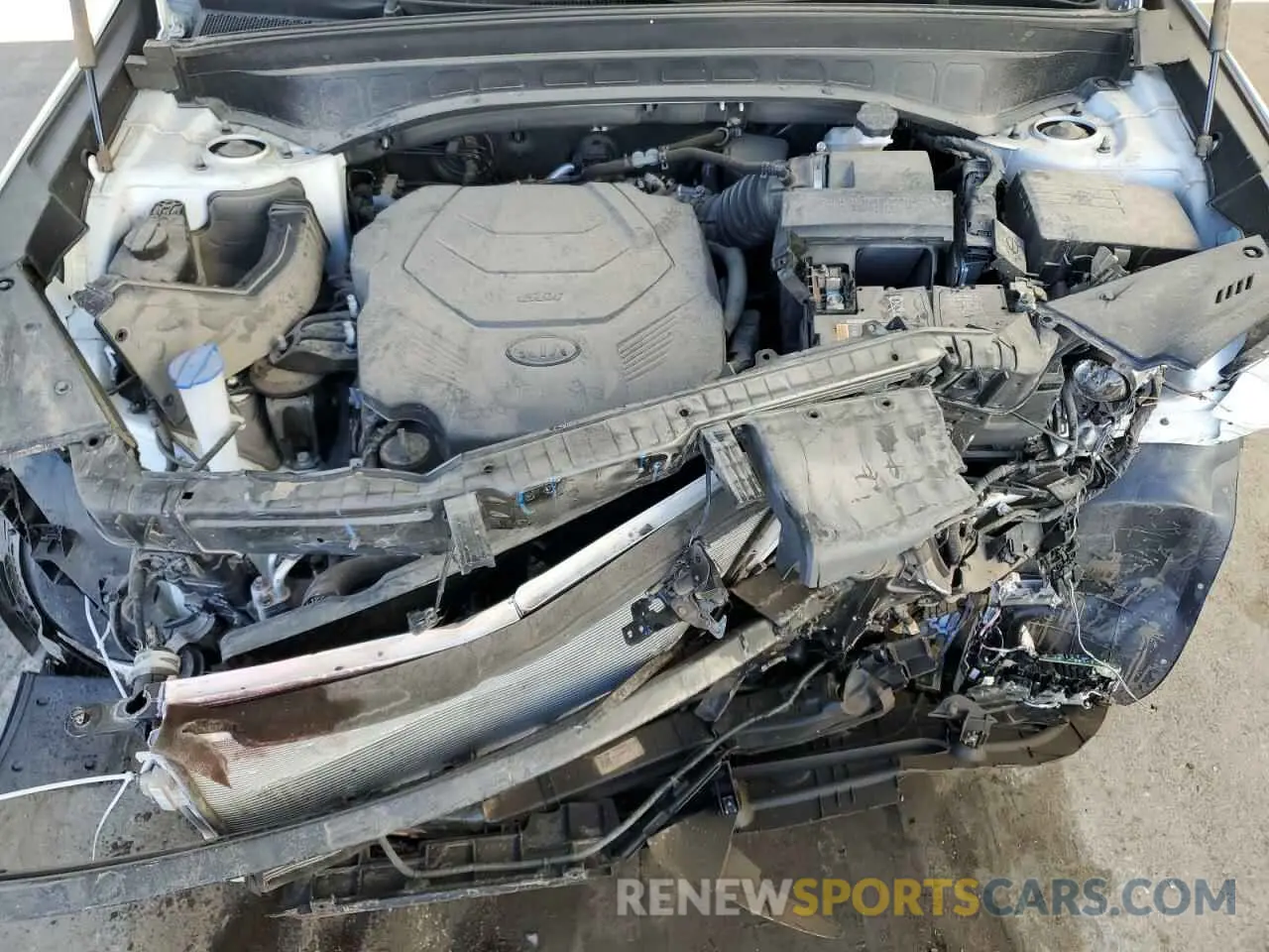 12 Photograph of a damaged car 5XYP24HC5MG193678 KIA TELLURIDE 2021