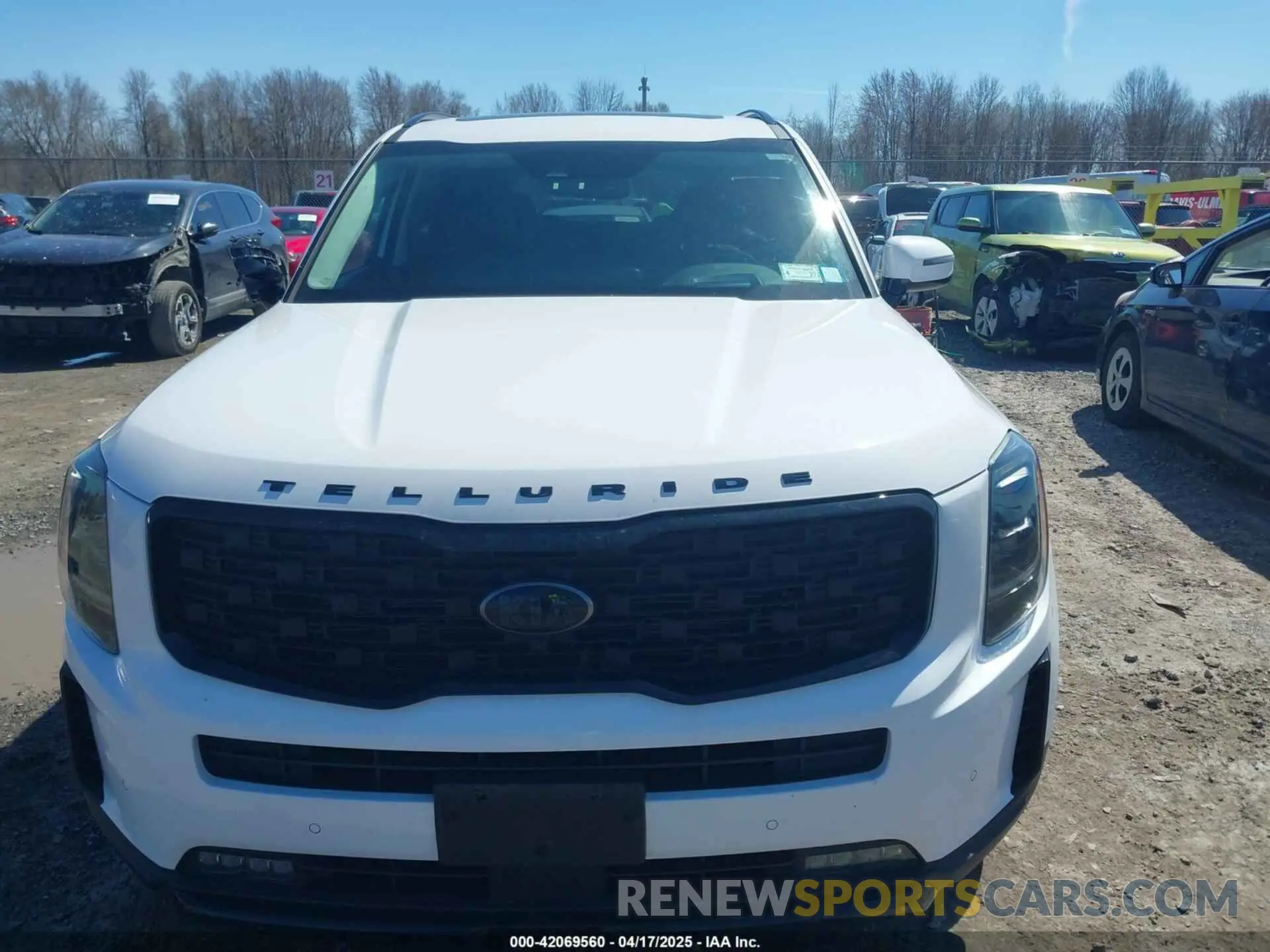 12 Photograph of a damaged car 5XYP5DHC0MG145965 KIA TELLURIDE 2021