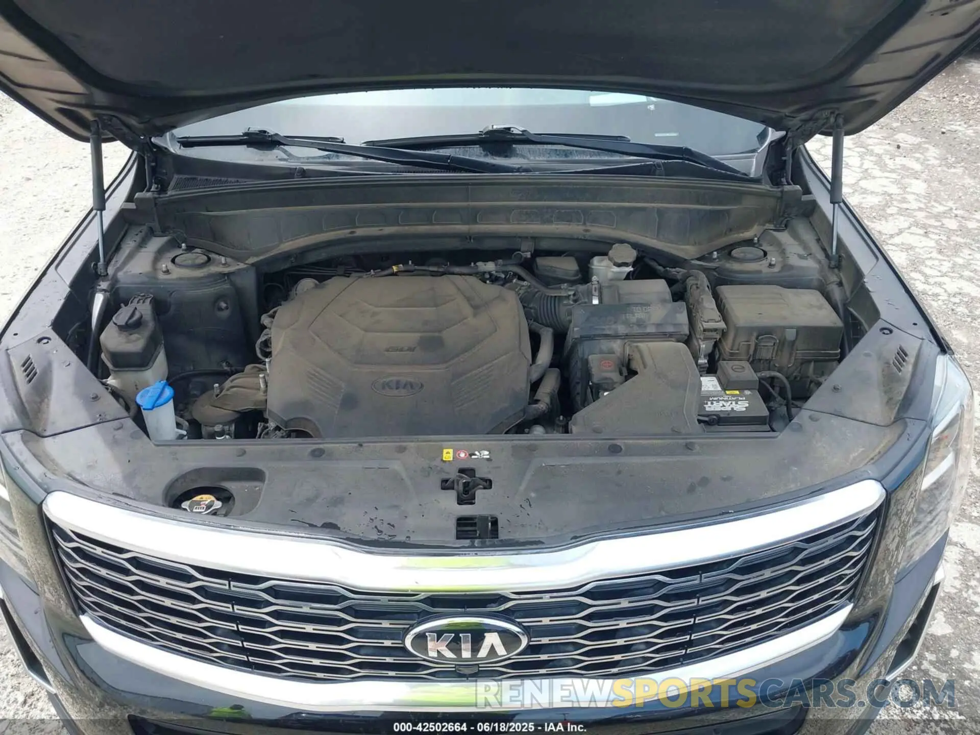 10 Photograph of a damaged car 5XYP5DHC4MG103556 KIA TELLURIDE 2021
