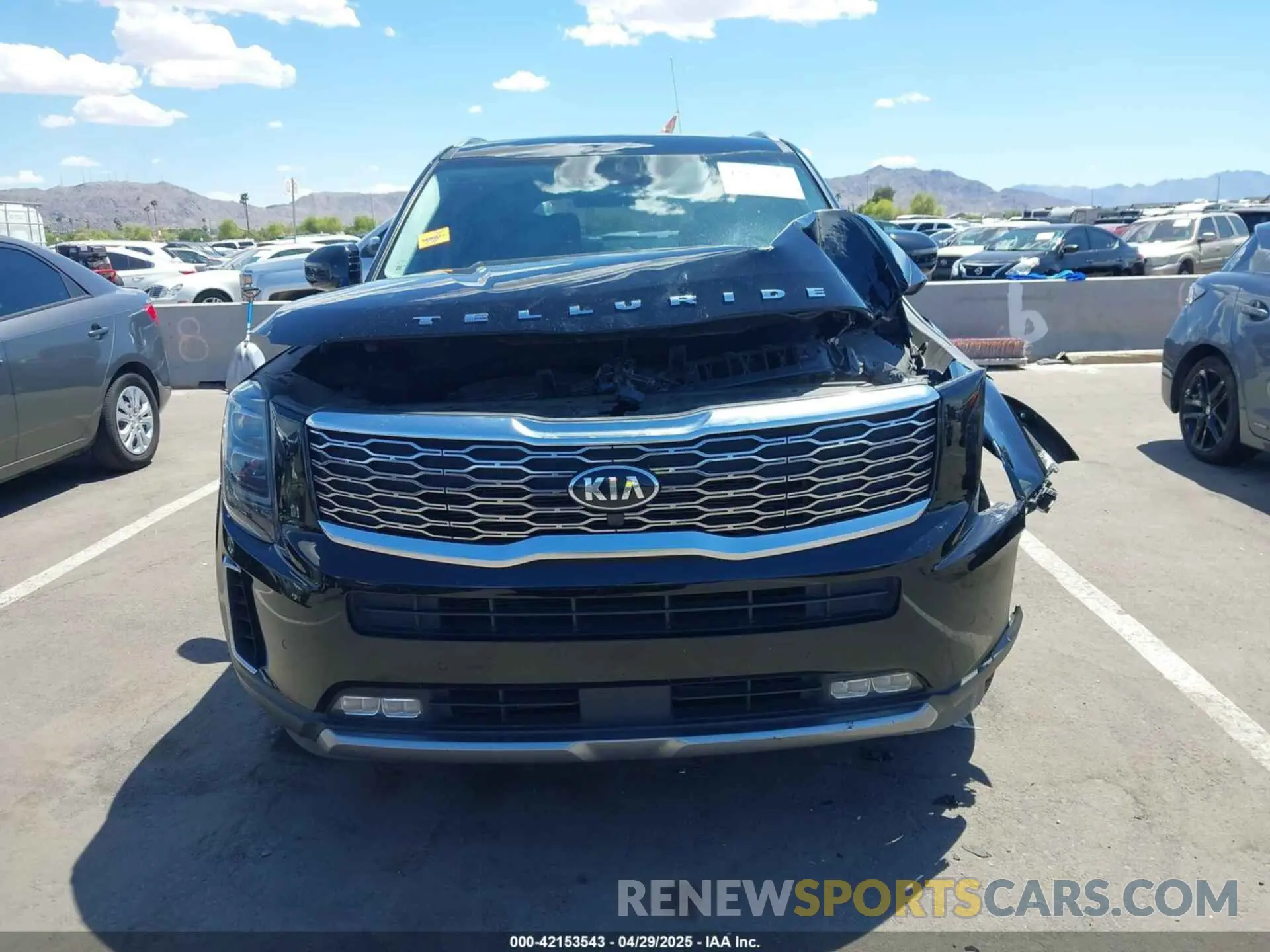 12 Photograph of a damaged car 5XYP5DHC6MG163371 KIA TELLURIDE 2021