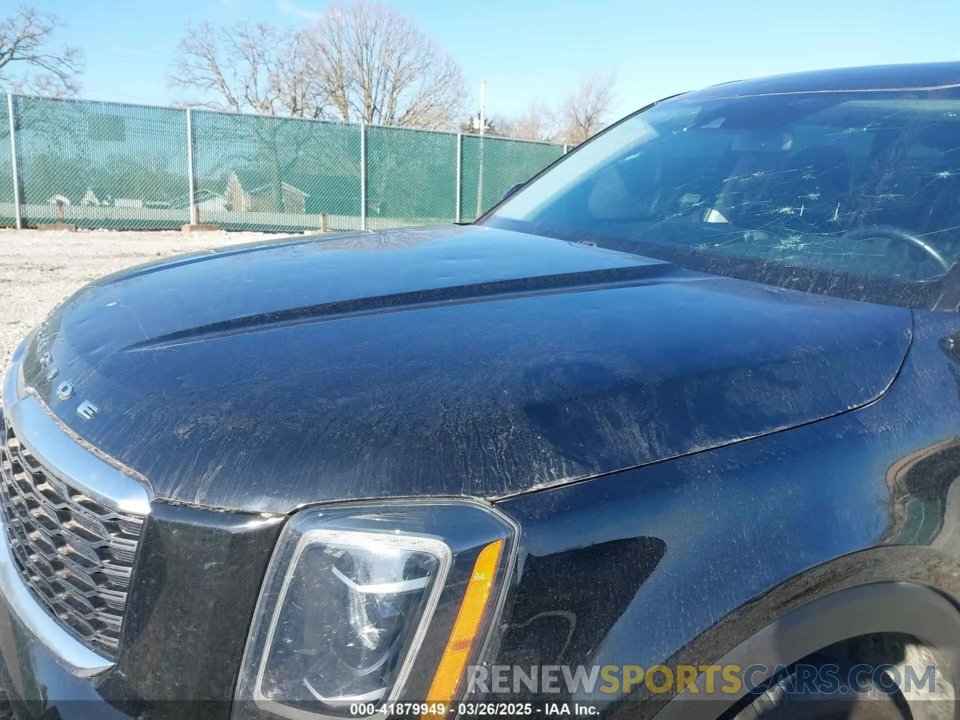 6 Photograph of a damaged car 5XYP64HC7MG108781 KIA TELLURIDE 2021