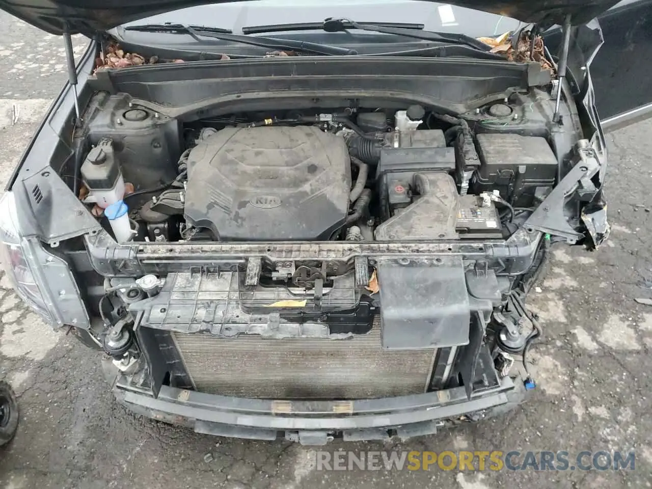 12 Photograph of a damaged car 5XYP6DHC4MG155542 KIA TELLURIDE 2021