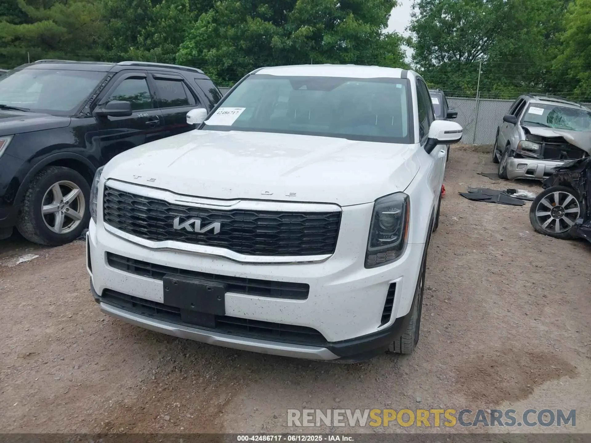 12 Photograph of a damaged car 5XYP2DHC5NG276352 KIA TELLURIDE 2022