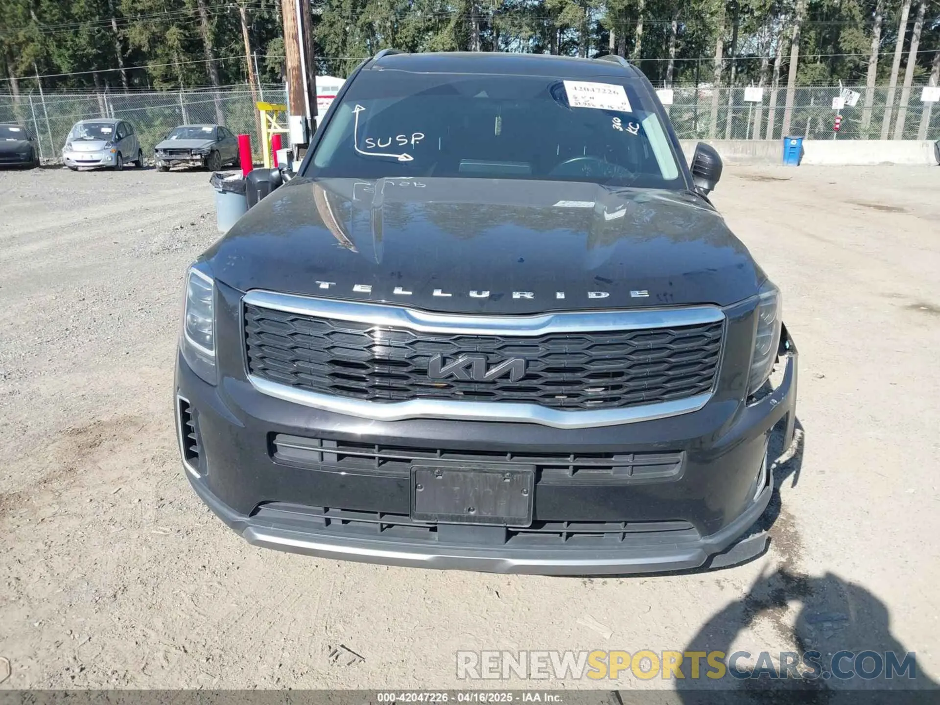 12 Photograph of a damaged car 5XYP34HC0NG243269 KIA TELLURIDE 2022