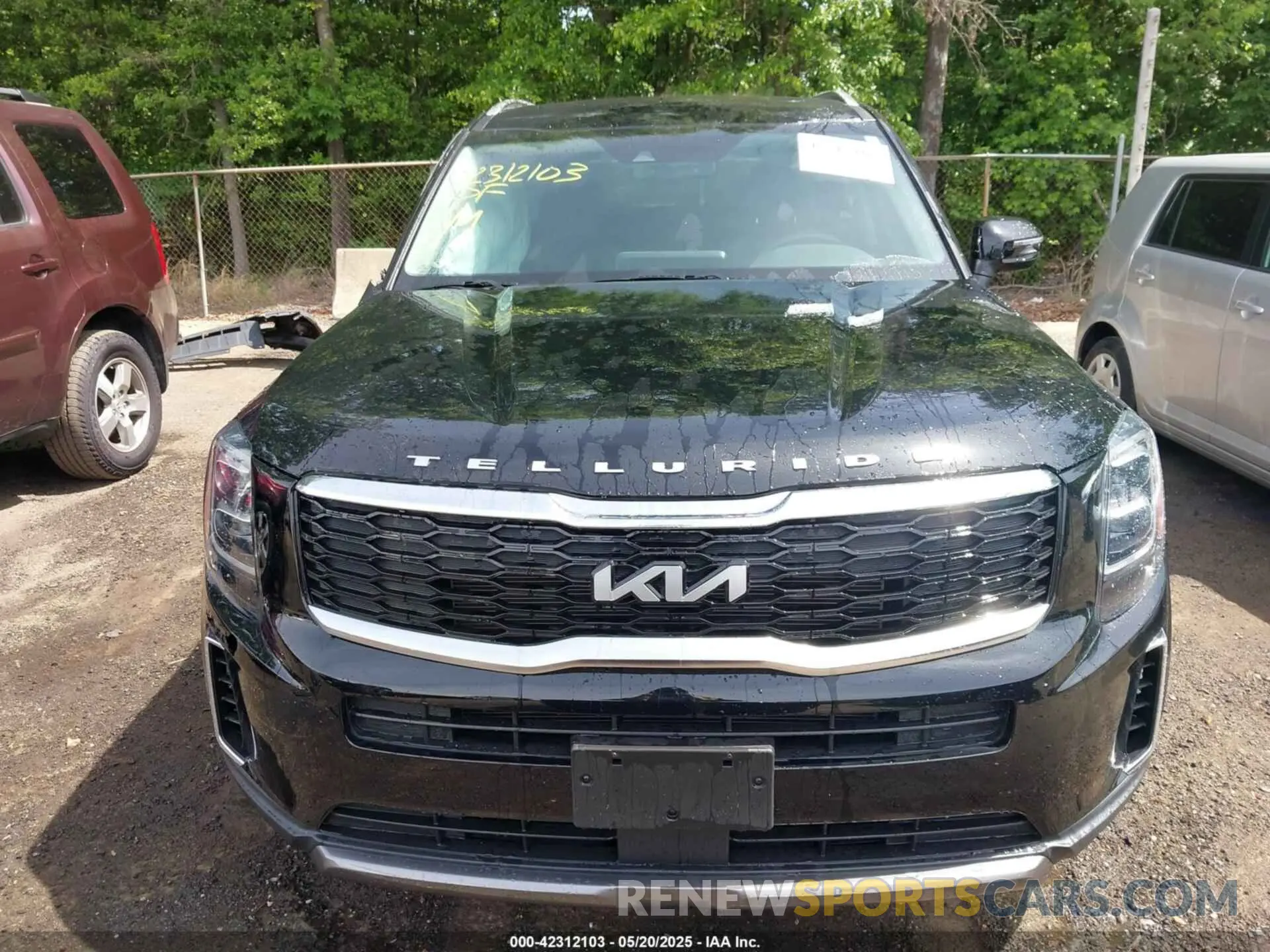 12 Photograph of a damaged car 5XYP34HC3NG312049 KIA TELLURIDE 2022
