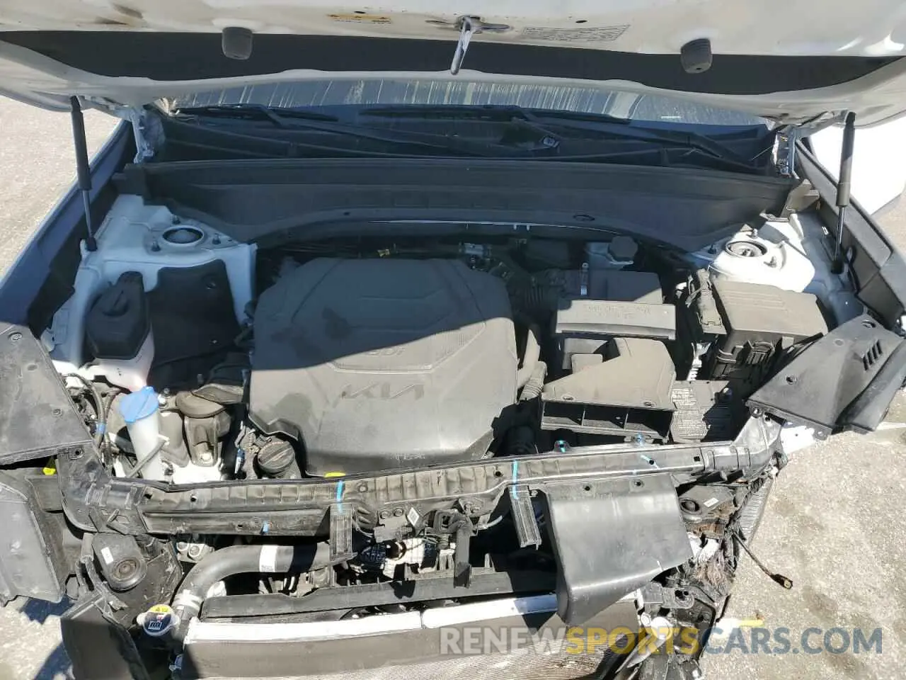 12 Photograph of a damaged car 5XYP34HC9NG325789 KIA TELLURIDE 2022