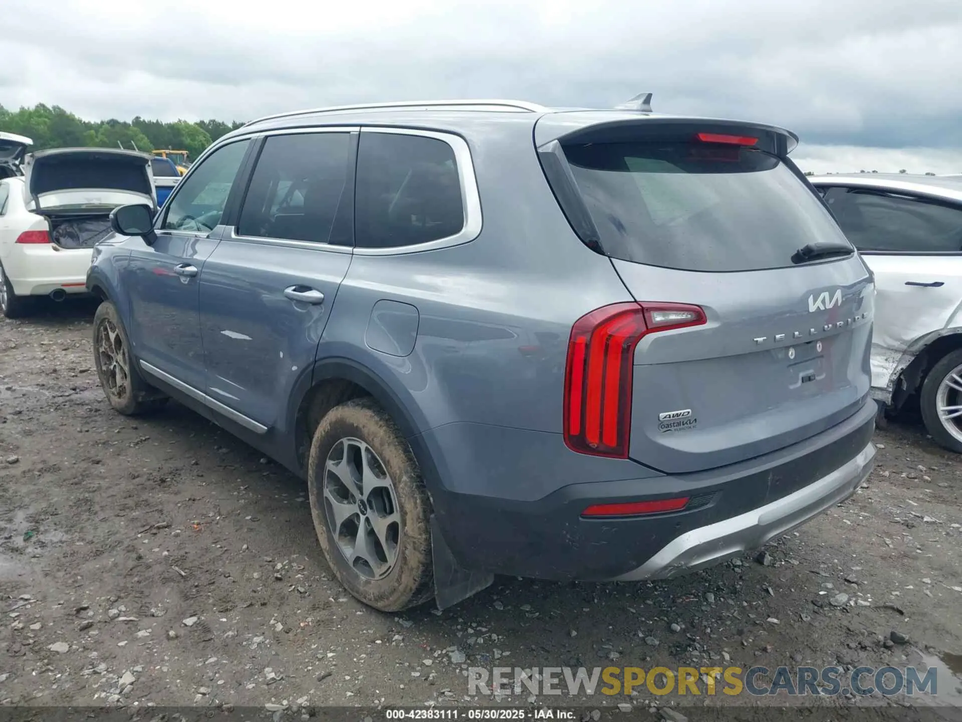 3 Photograph of a damaged car 5XYP3DHC0NG258550 KIA TELLURIDE 2022