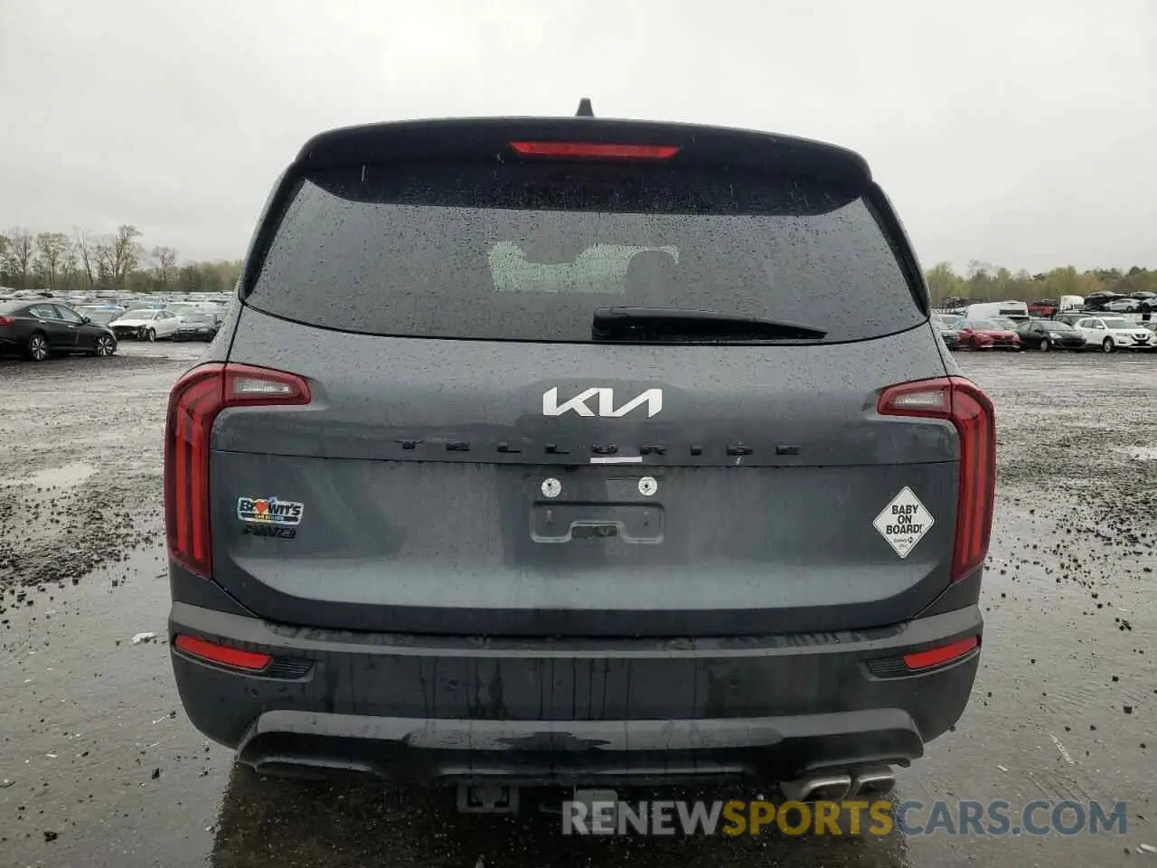 6 Photograph of a damaged car 5XYP3DHC2NG255732 KIA TELLURIDE 2022