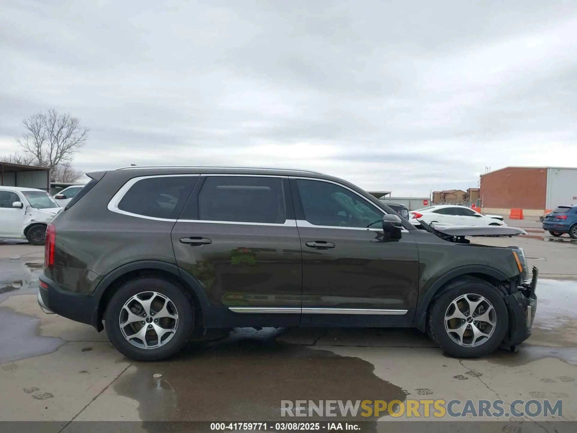 13 Photograph of a damaged car 5XYP3DHC3NG222108 KIA TELLURIDE 2022