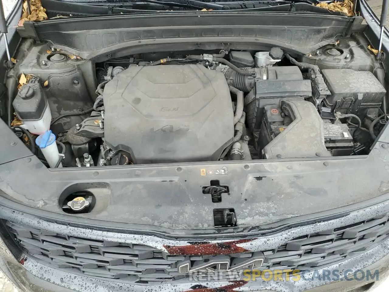 12 Photograph of a damaged car 5XYP3DHC6NG265213 KIA TELLURIDE 2022