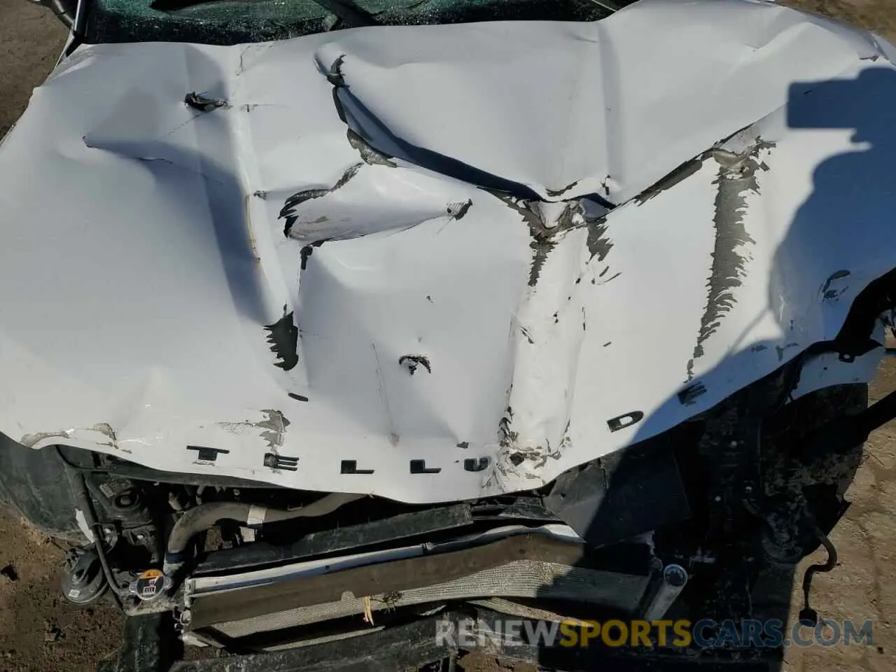 12 Photograph of a damaged car 5XYP3DHC7NG283302 KIA TELLURIDE 2022