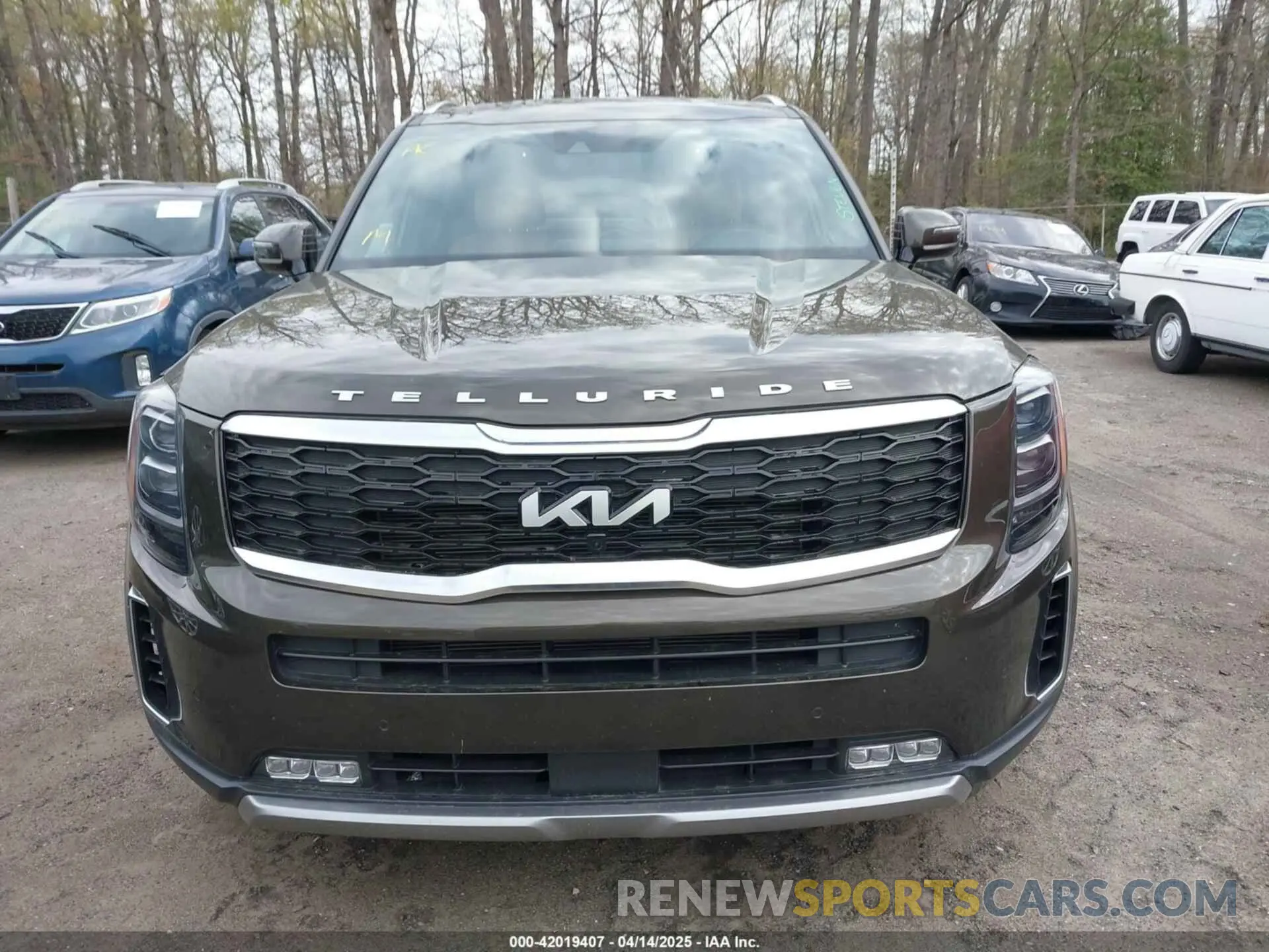 12 Photograph of a damaged car 5XYP54HC4NG271392 KIA TELLURIDE 2022