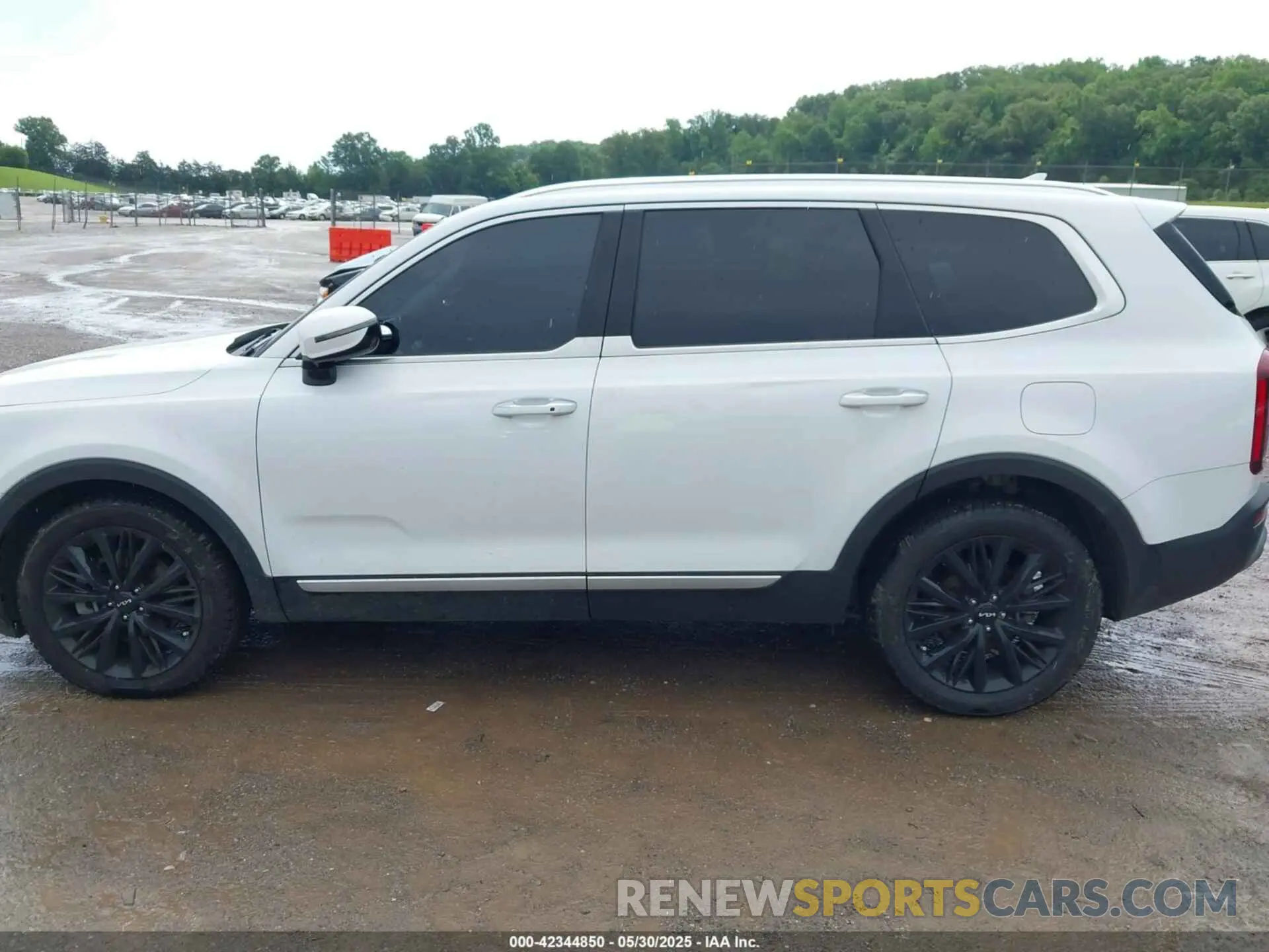 14 Photograph of a damaged car 5XYP54HC5NG256920 KIA TELLURIDE 2022