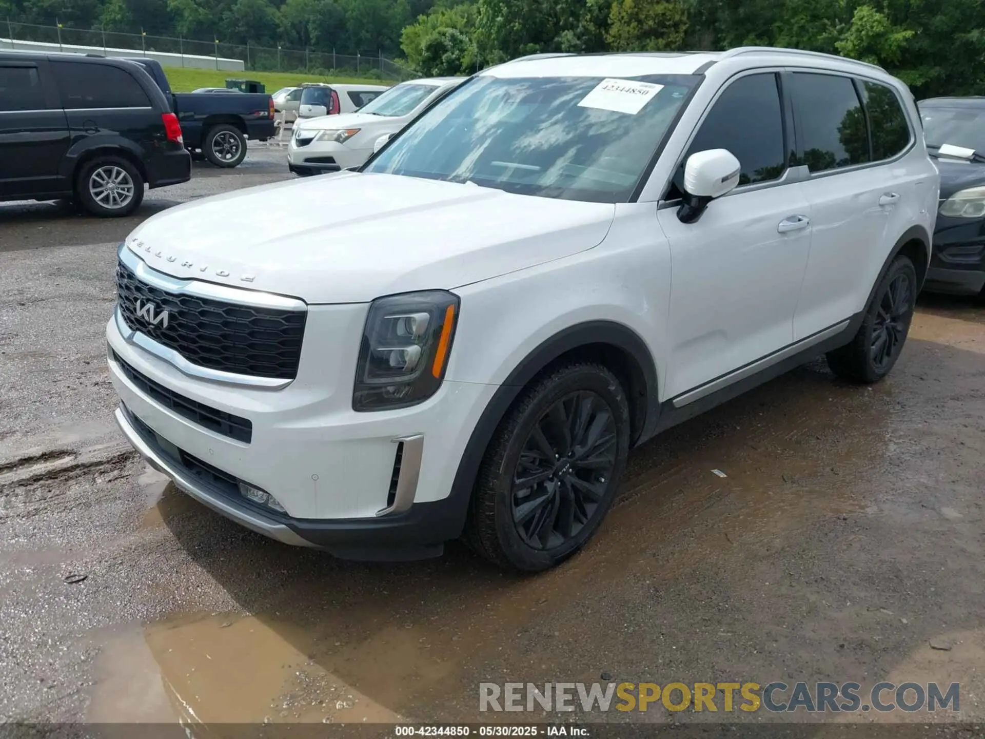2 Photograph of a damaged car 5XYP54HC5NG256920 KIA TELLURIDE 2022