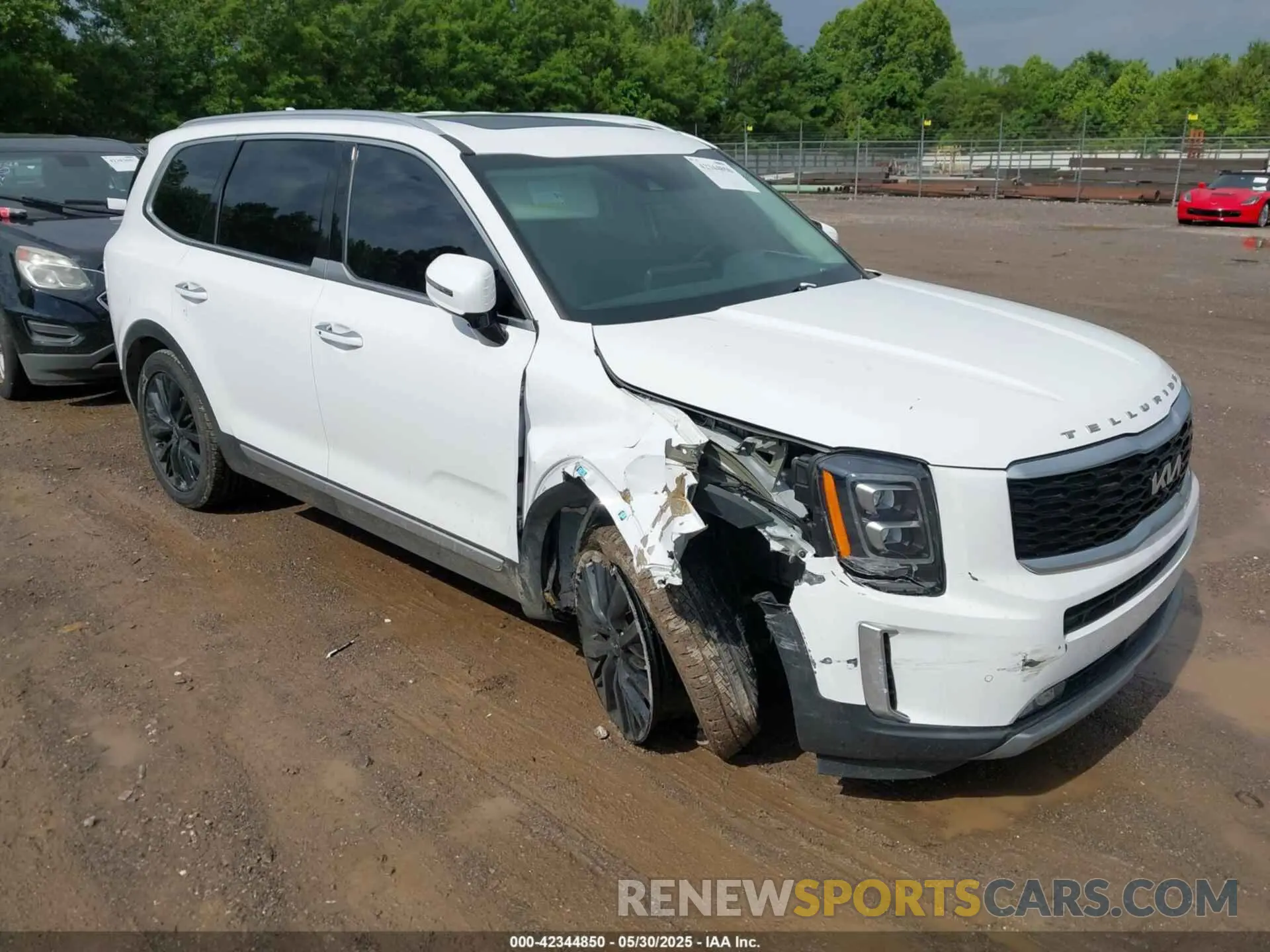 6 Photograph of a damaged car 5XYP54HC5NG256920 KIA TELLURIDE 2022