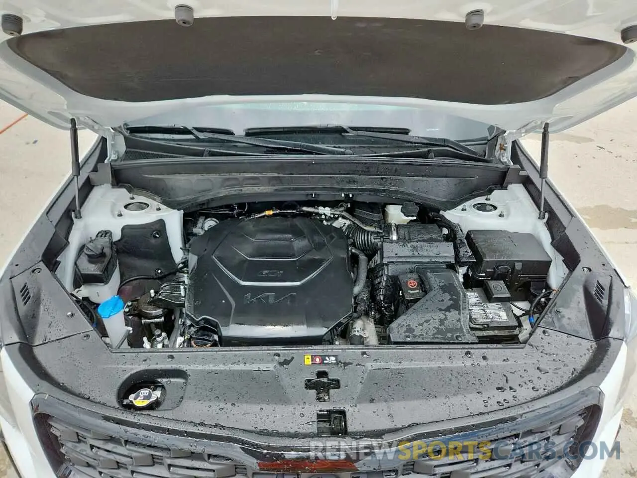 12 Photograph of a damaged car 5XYP5DHC2NG196482 KIA TELLURIDE 2022