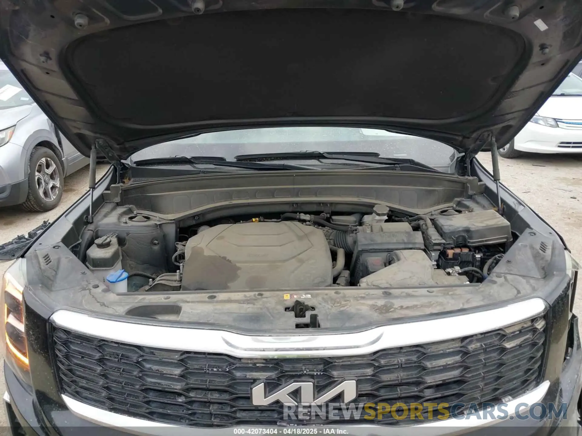 10 Photograph of a damaged car 5XYP5DHC4NG249036 KIA TELLURIDE 2022