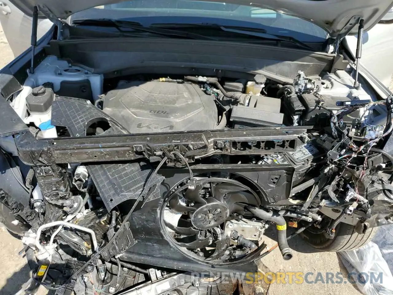 12 Photograph of a damaged car 5XYP5DHC5NG194998 KIA TELLURIDE 2022