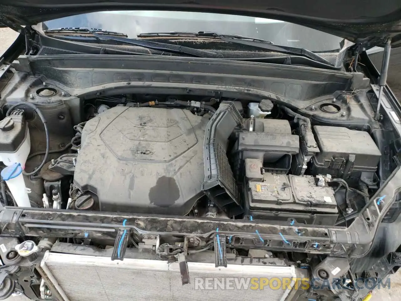 12 Photograph of a damaged car 5XYP5DHC6NG293328 KIA TELLURIDE 2022