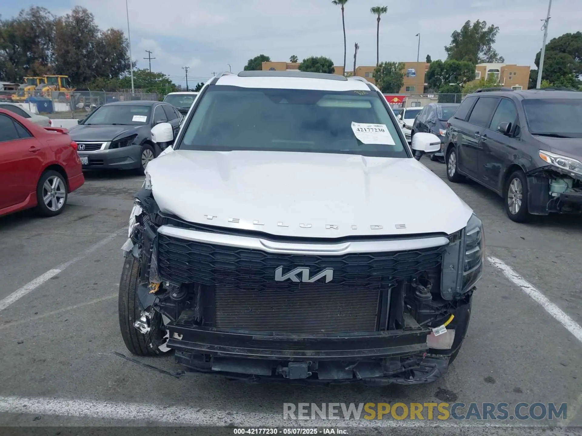 13 Photograph of a damaged car 5XYP5DHC9NG247668 KIA TELLURIDE 2022