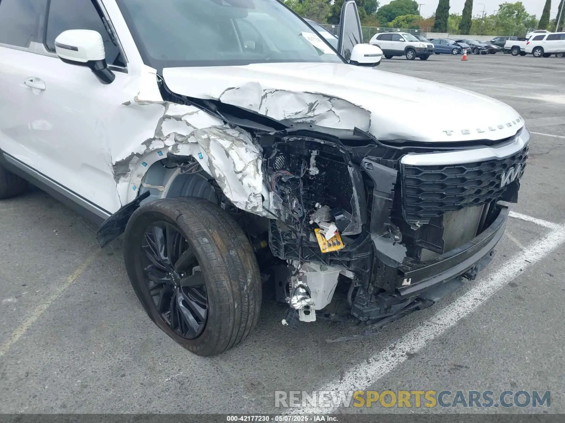 6 Photograph of a damaged car 5XYP5DHC9NG247668 KIA TELLURIDE 2022
