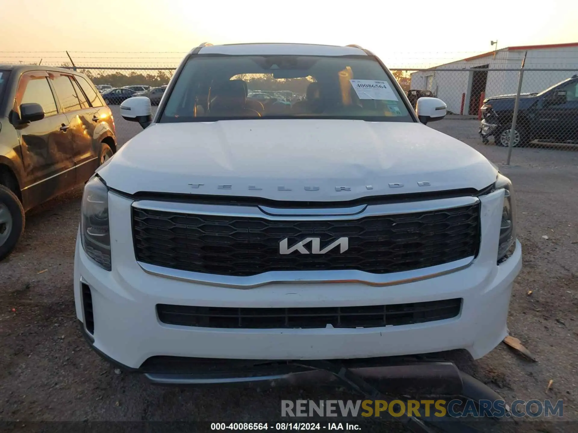 12 Photograph of a damaged car 5XYP64HC1NG310548 KIA TELLURIDE 2022
