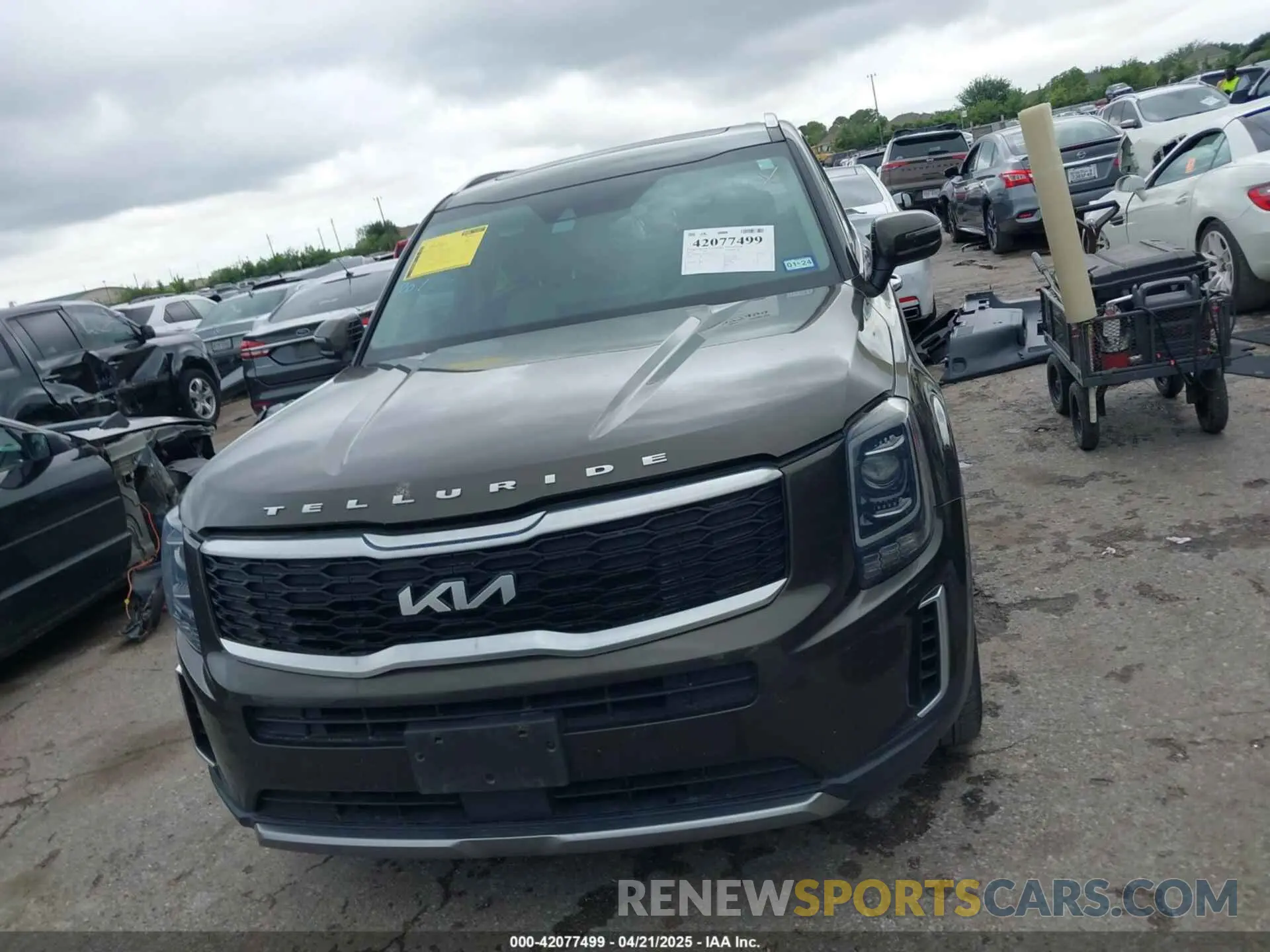 13 Photograph of a damaged car 5XYP64HC3NG256251 KIA TELLURIDE 2022