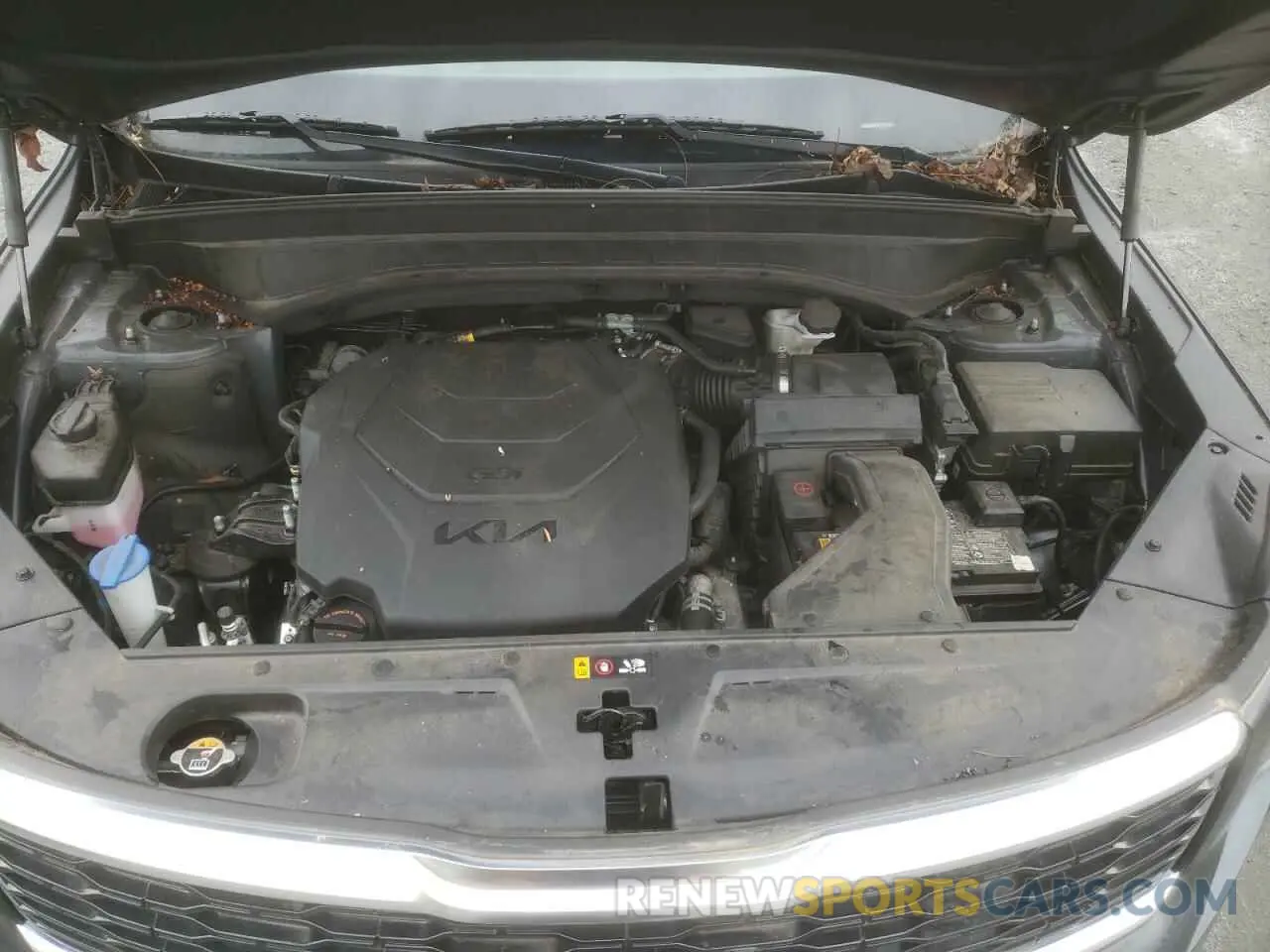 12 Photograph of a damaged car 5XYP6DHC6NG240156 KIA TELLURIDE 2022