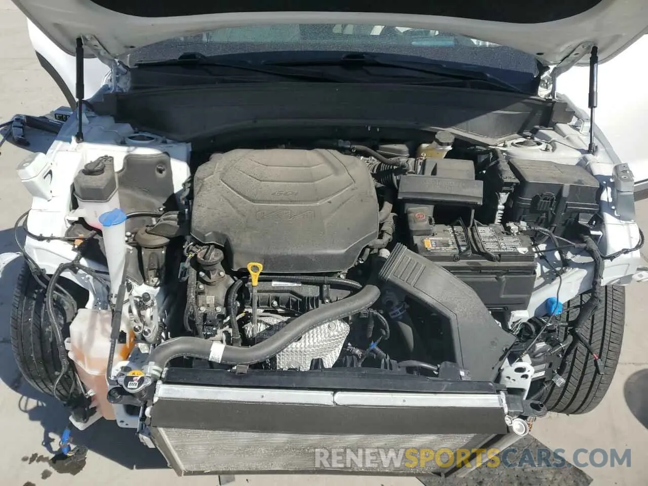 12 Photograph of a damaged car 5XYP5DGC1PG355349 KIA TELLURIDE 2023