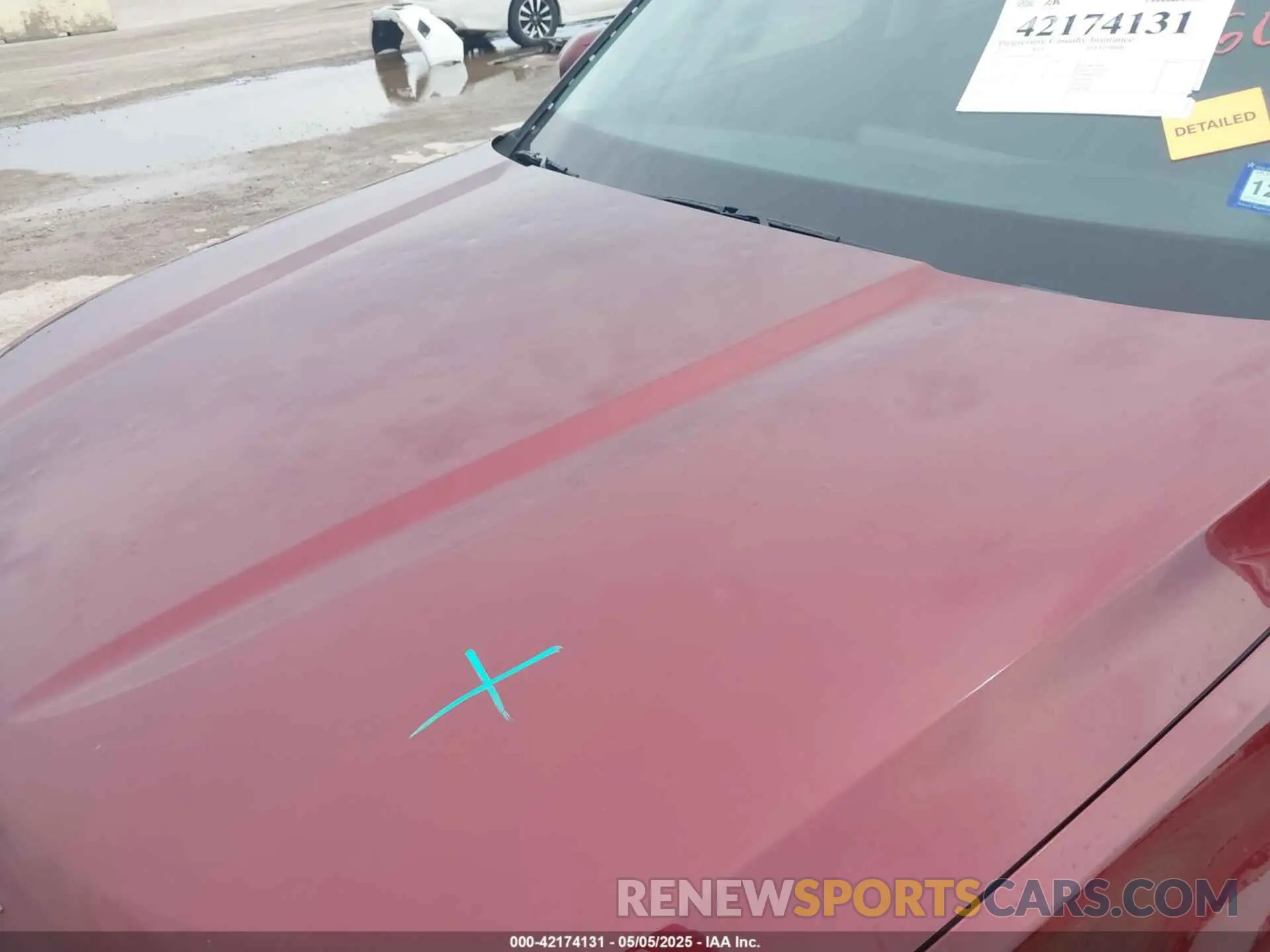 6 Photograph of a damaged car 5XYP64GC1PG352240 KIA TELLURIDE 2023