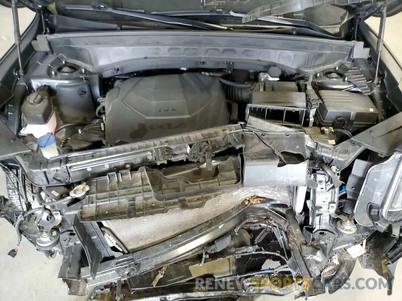 12 Photograph of a damaged car 5XYP64GC3PG391556 KIA TELLURIDE 2023