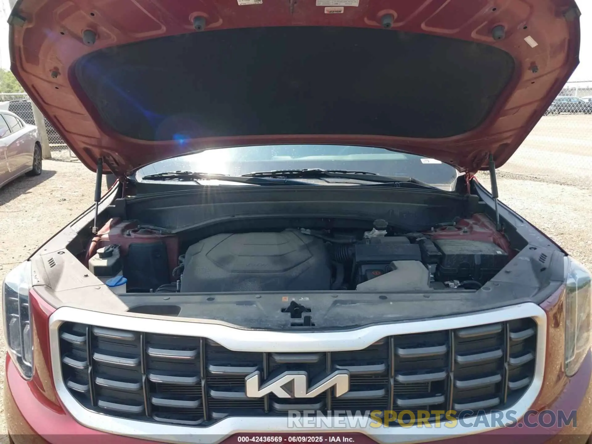10 Photograph of a damaged car 5XYP6DGC6PG338527 KIA TELLURIDE 2023