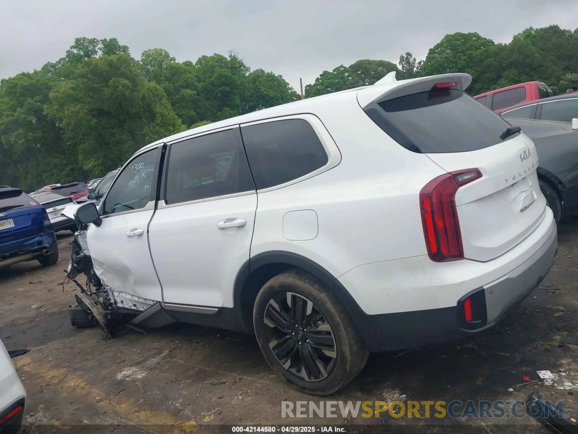 13 Photograph of a damaged car 5XYP24GC1RG411138 KIA TELLURIDE 2024
