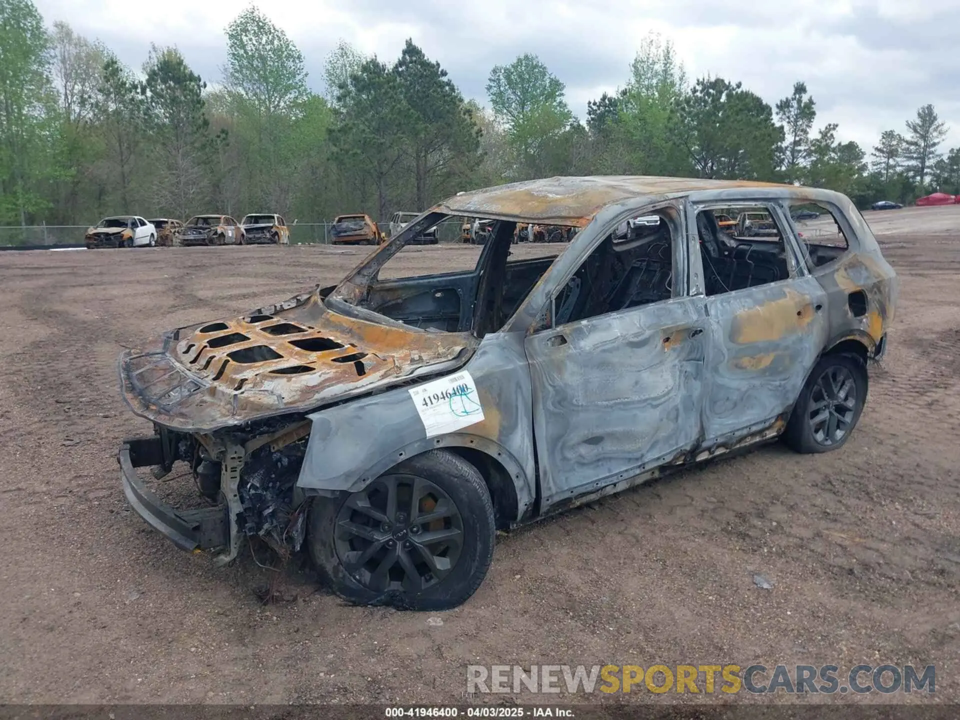 6 Photograph of a damaged car 5XYP24GC9RG459292 KIA TELLURIDE 2024