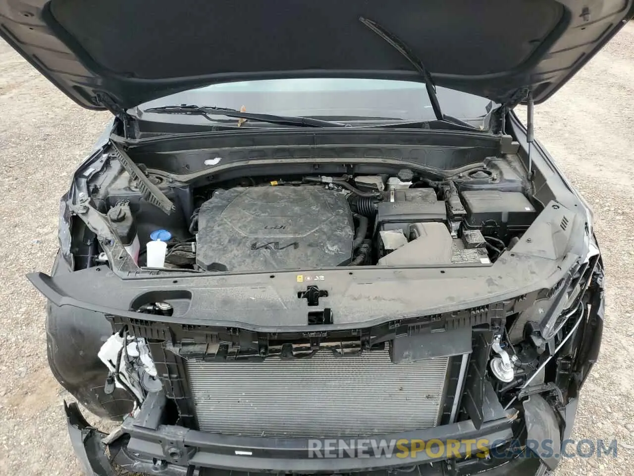 12 Photograph of a damaged car 5XYP34GC8RG533847 KIA TELLURIDE 2024