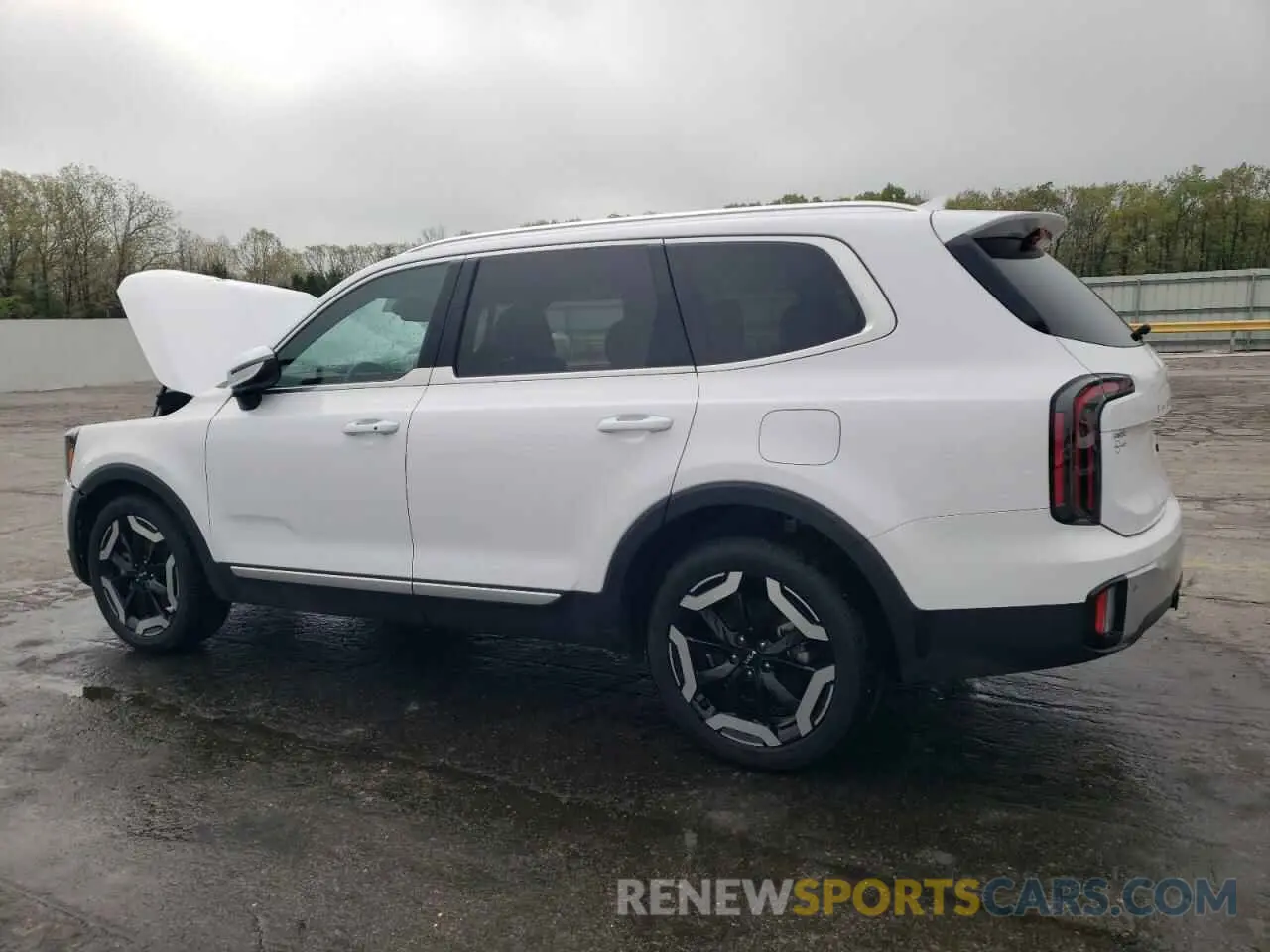 2 Photograph of a damaged car 5XYP3DGC2RG471586 KIA TELLURIDE 2024