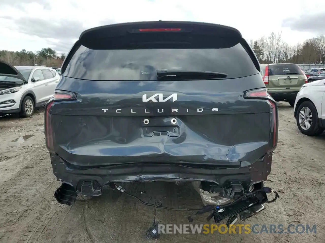 6 Photograph of a damaged car 5XYP5DGC1RG545512 KIA TELLURIDE 2024