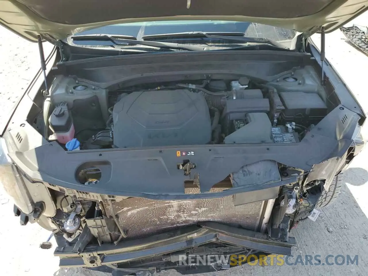 14 Photograph of a damaged car 5XYP5DGC2RG441689 KIA TELLURIDE 2024